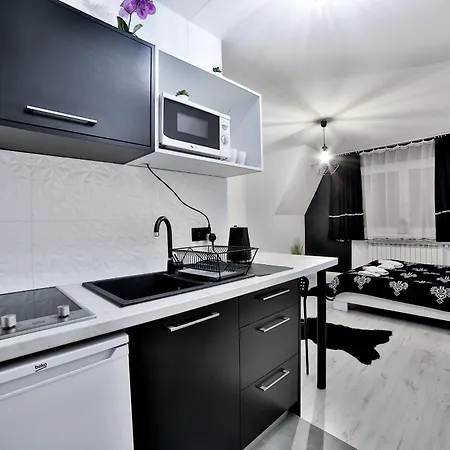 アパート Czarna Perla Z Jacuzzi W Cenie - Mini Strefa - Blisko Basenow Termalnych シャフラリ